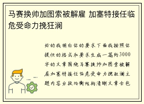 马赛换帅加图索被解雇 加塞特接任临危受命力挽狂澜