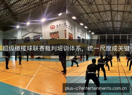 超级橄榄球联赛裁判培训体系，统一尺度成关键